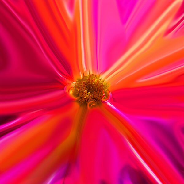LUZ DE COLOR
